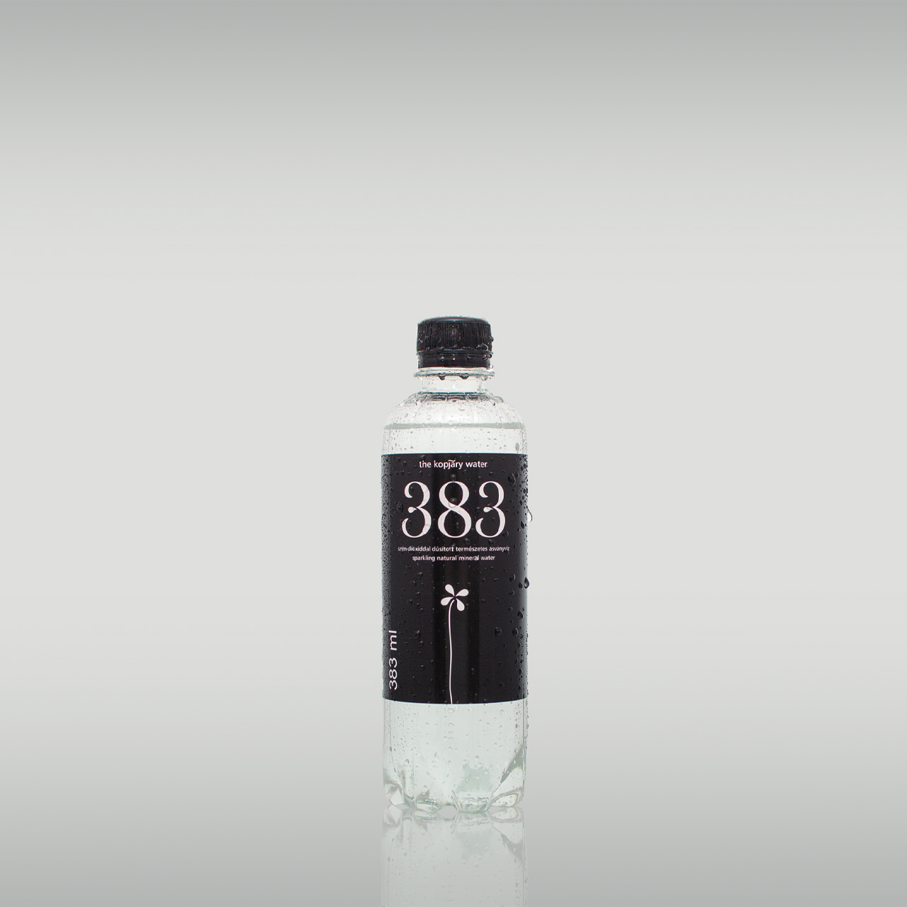 383 the kopjary water szén-dioxiddal dúsított ásványvíz 383 ml