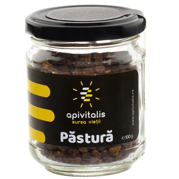 Apivitalis méhkenyér 100 g