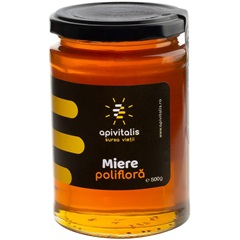 Apivitalis nyers vegyes virágméz 500 g