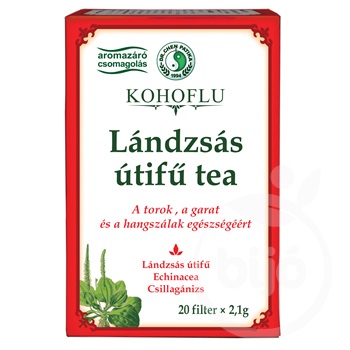 Dr.chen kohoflu lándzsás útifű teakeverék 20x2,1g