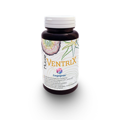 Freyagena Mucoe Ventrix kapszula 80 db