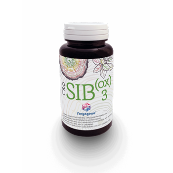 Freyagena fito sib(ox) kapszula 30 db