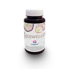 Freyagena forte boswellex kapszula 60 db