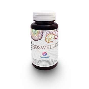 Freyagena forte boswellex kapszula 60 db