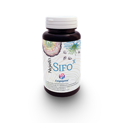 Freyagena nigella sifox kapszula 60 db