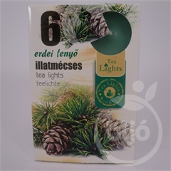 Illatmécses erdei fenyő illattal 6 db