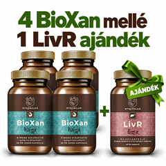 Myrobalan bioxan természetes nyugtató gyógynövény-komplex vegán kapszula 60 db