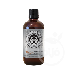 Naja forest chaga étrendkiegészítő 100 ml