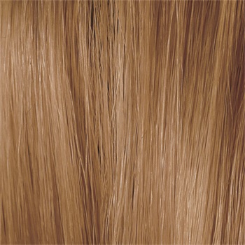 Naturavit hcr r13 gold blonde hair dye 1 piece