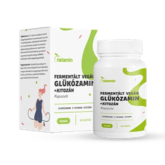 Netamin fermentált vegán glükozamin+kitozán kapszula 90 db