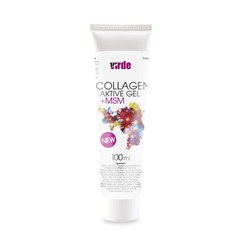 Virde collagen active gel+msm 100 ml