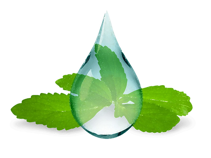 natur-tanya-stevia-csepp.jpg