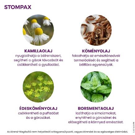 A close-up of several plants

AI-generated content may be incorrect.