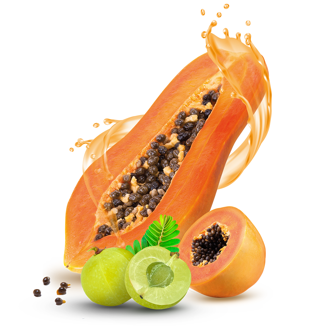 Natur Tanya Fermentált Papaya koncentrátum amla gyümölccsel 