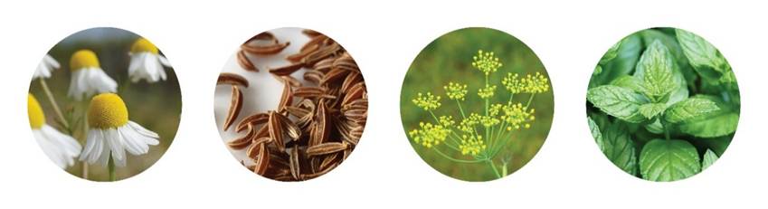 A close up of a plant

AI-generated content may be incorrect.