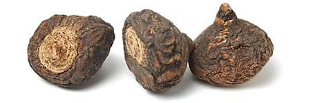 macagyökér
