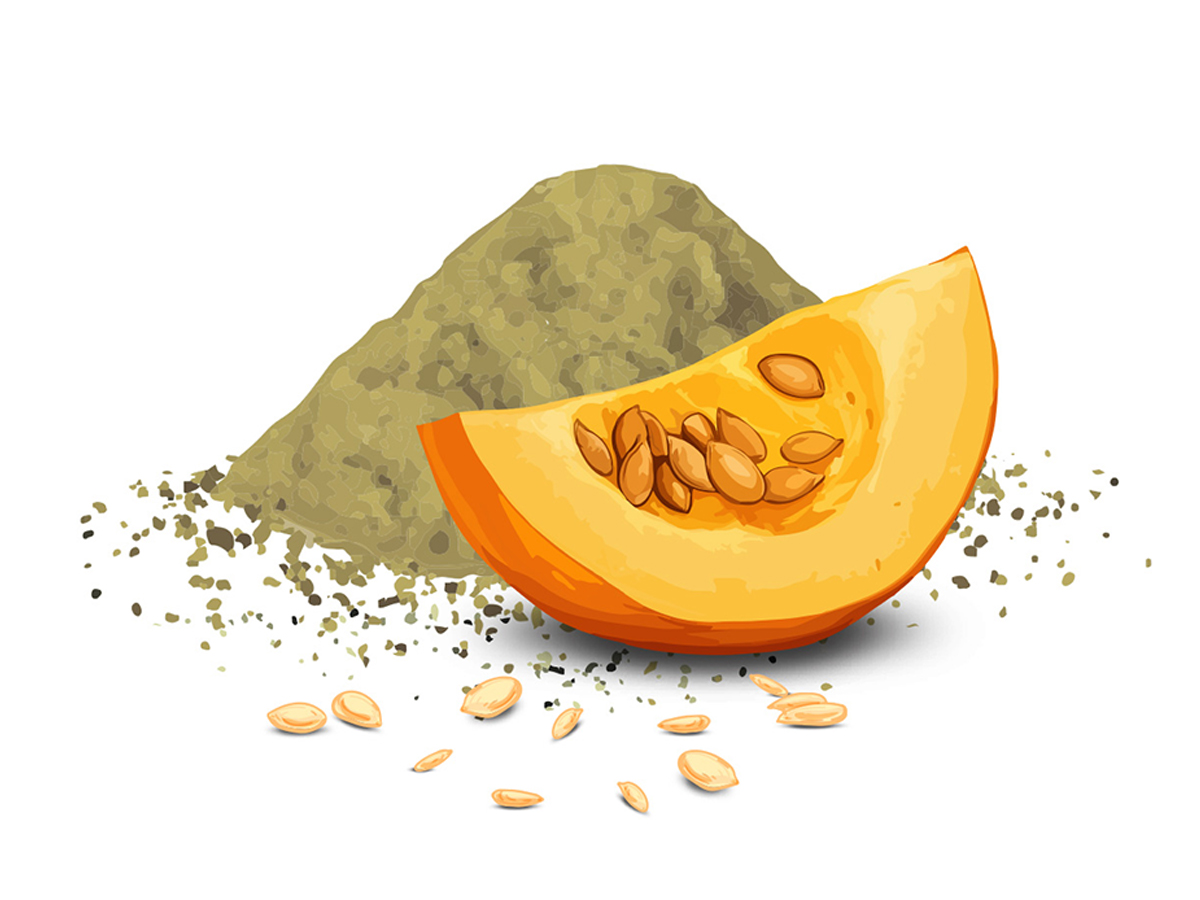 Natur Tanya® Tökmag protein por. A tökmag ereje adalékanyagmentes fehérjévé sűrítve