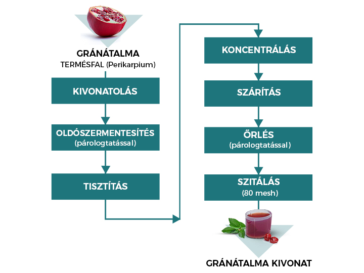 A Natur Tanya® gránátalma kivonat előállítása 