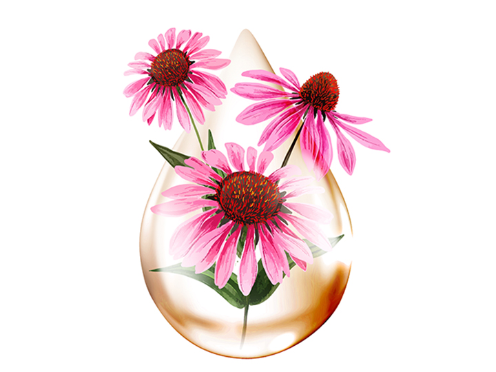 Natur Tanya ECHINACEA CSEPP, a védekező rendszer egészségéhez Natur Tanya ECHINACEA CSEPP – Alkoholmentes immuntámogató