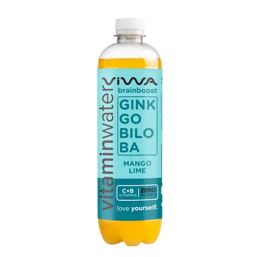 Viwa brainboost ginkgo biloba-zelený čaj vitamínová voda 600 ml